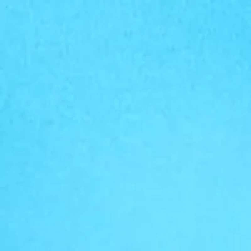 Women's Inset Trim T-Shirt