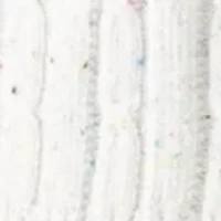 Women's Long Sleeve Cable Cardigan