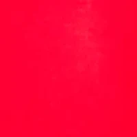 Women's 3/4 Sleeve Crew Neck Solid T-Shirt