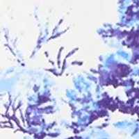 Women's 3/4 Sleeve V-Neck Printed T-Shirt