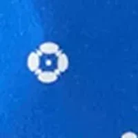 Women's Printed V-Neck Top