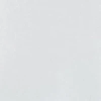 Women's Short Sleeve Solid T-Shirt