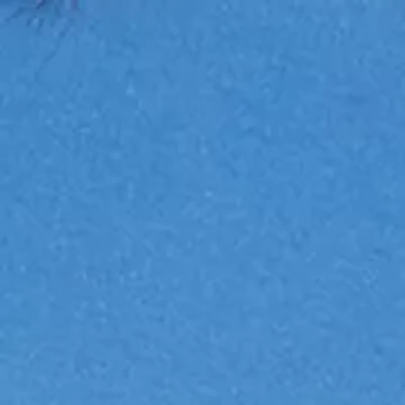 Women's Graphic Crew Neck T-Shirt