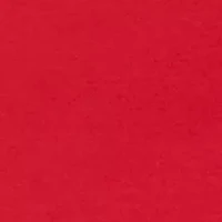 Plus Short Sleeve Cotton T-Shirt