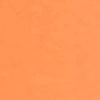 Plus 3/4 Sleeve Crew Neck Fashion Shirt