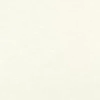 Plus Solid Crew Neck Top