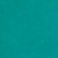 Plus Happy Holidays Graphic Top