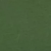 Plus Short Sleeve Cotton T-Shirt