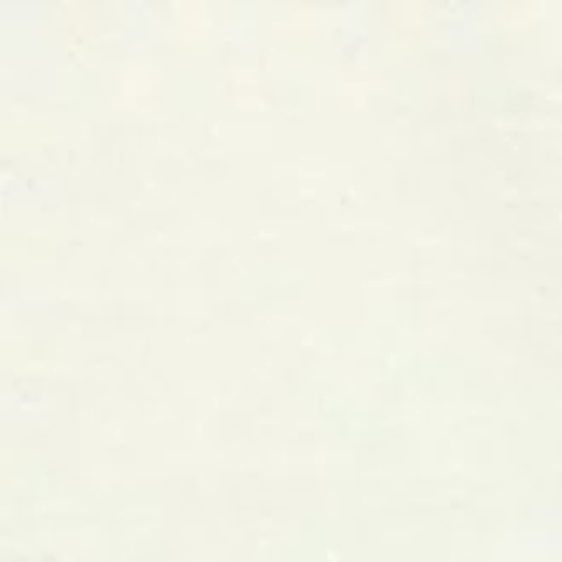 Plus Long Sleeve Cotton T-Shirt