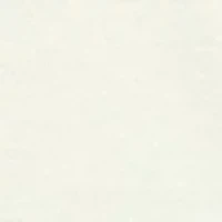 Plus Long Sleeve Cotton T-Shirt