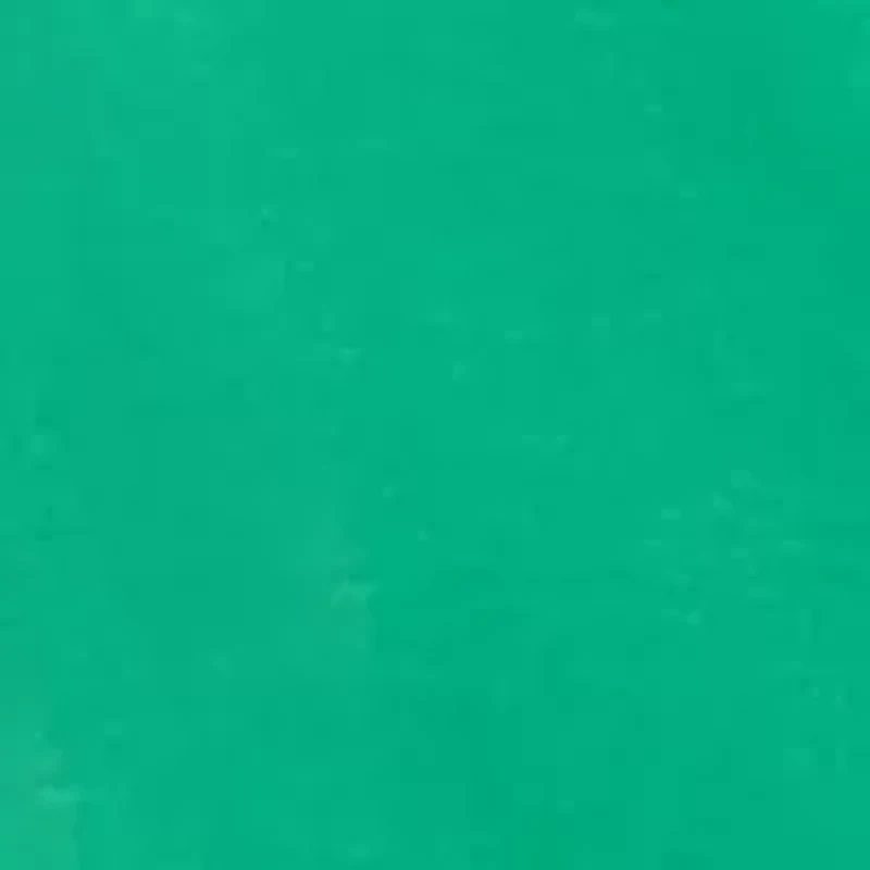 Plus Graphic T-Shirt