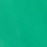 Plus Graphic T-Shirt