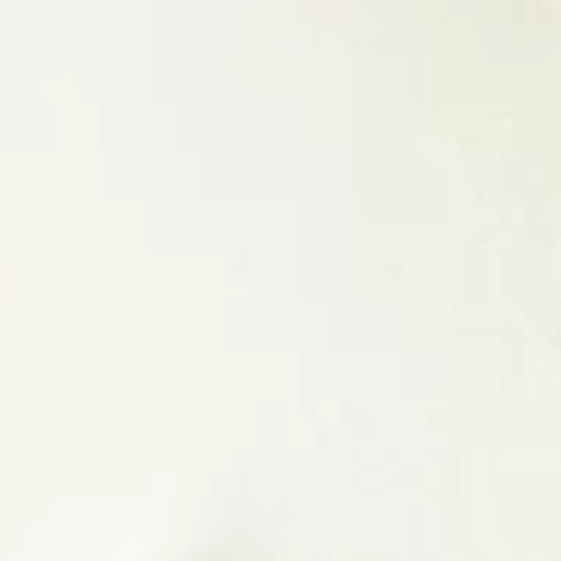 Plus 3/4 Sleeve Graphic Shirt