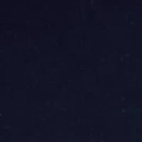 Plus Bateau Neck Printed Top