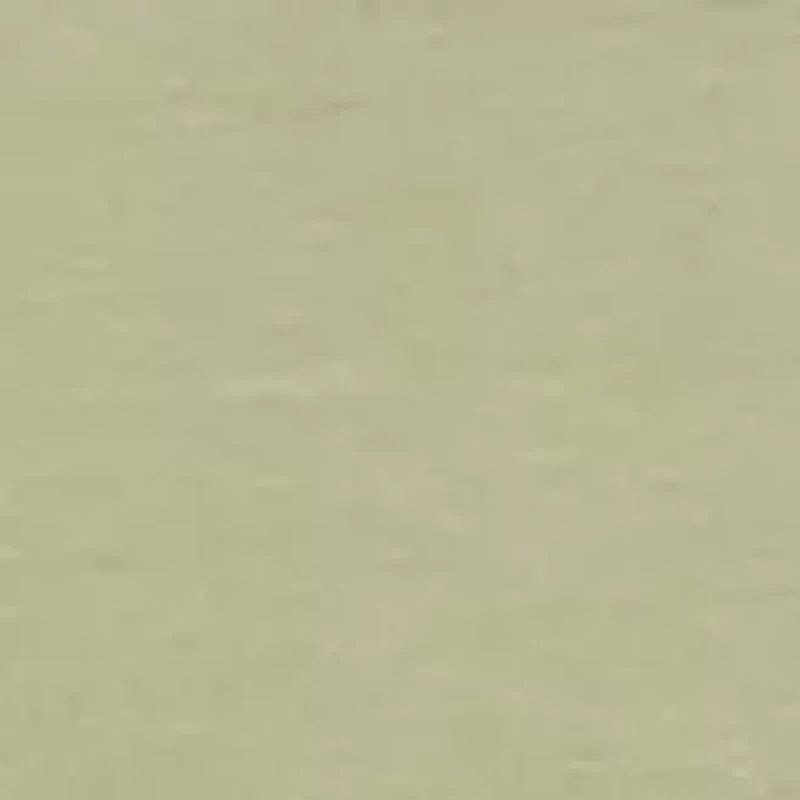 Women's Sleeveless Scoop Neck Tank