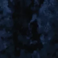 Women's Velour Button Down Shirt