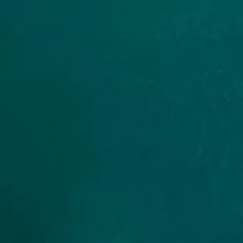 Women's Solid V-Neck Blouse