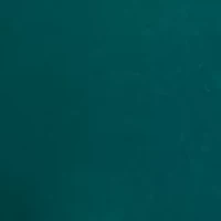 Women's Solid V-Neck Blouse