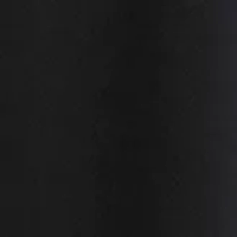 Women's High Rise Pleat Front Trousers