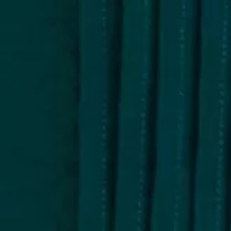 Women's Pintuck Pleated Blouse