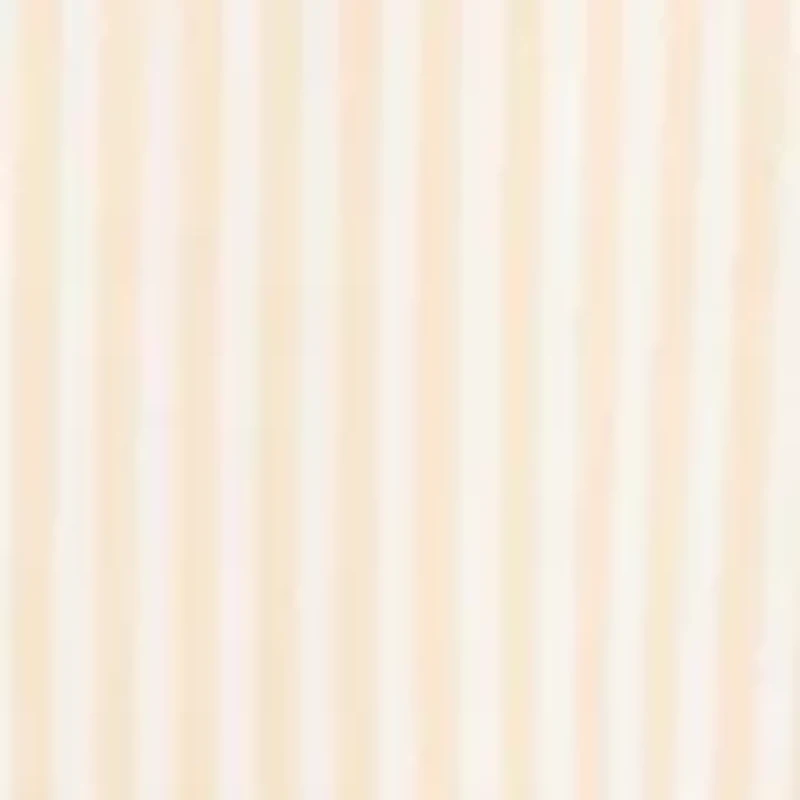 Women's Long Sleeve Satin Striped Button Down Shirt