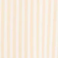 Women's Long Sleeve Satin Striped Button Down Shirt