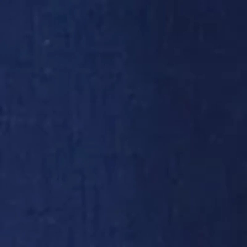 Women's Tie Waist Linen Shorts