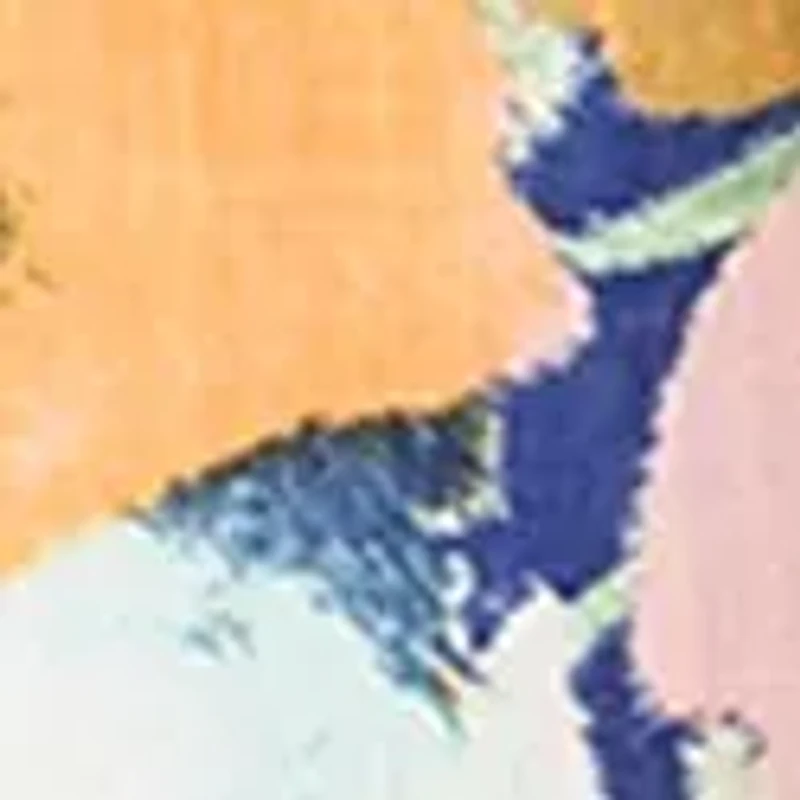 Women's Pull On Printed Palazzo Pants