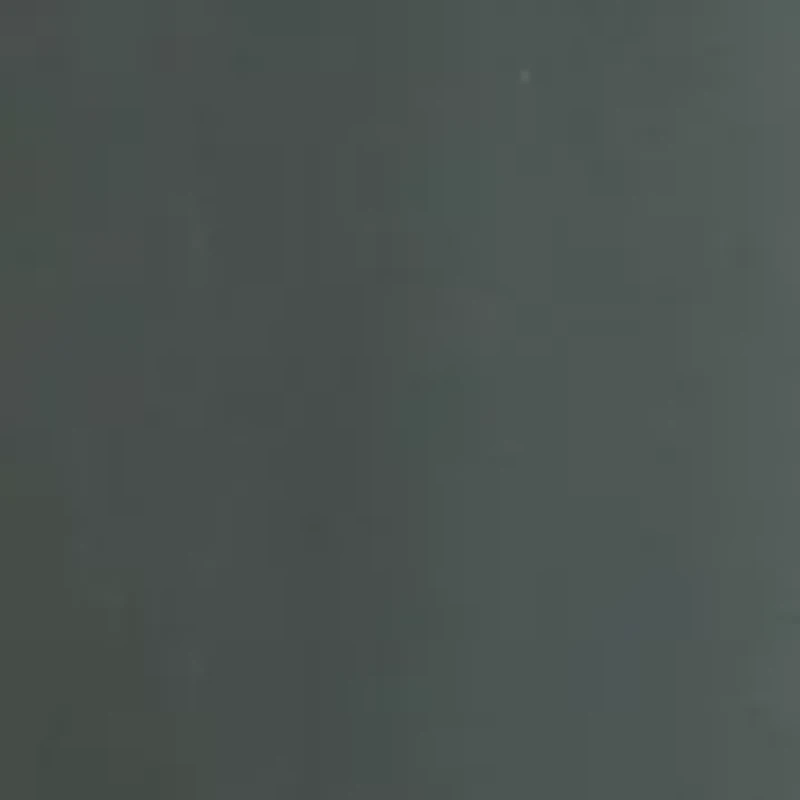 Petite High Rise Belted Wide Leg Pants