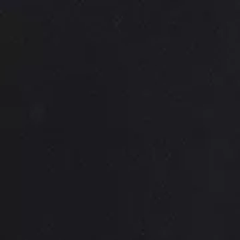 Petite High Rise Pleat Front Wide Leg Pants