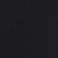 Petite High Rise Pleat Front Wide Leg Pants