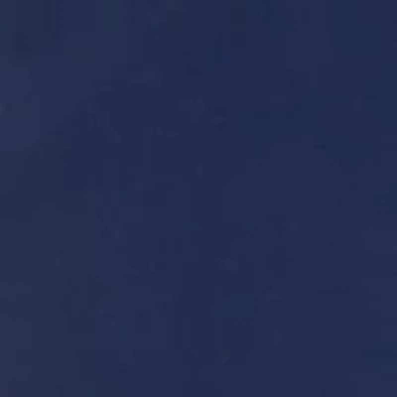 Petite High Rise Pleated Cropped Pants