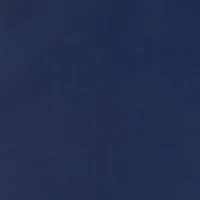 Petite High Rise Pleated Cropped Pants