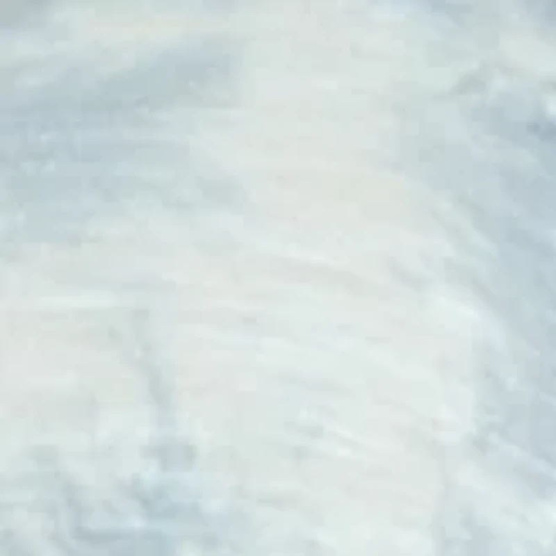 Plus Long Sleeve Scoop Neck Shark Bite Top