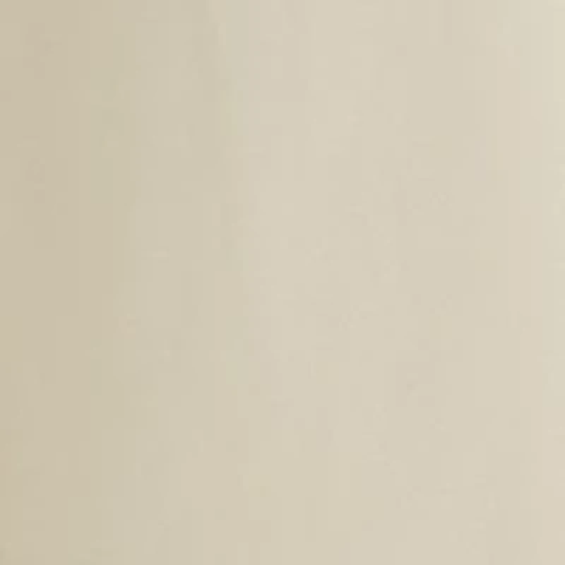Plus High Rise Belted Wide Leg Pants