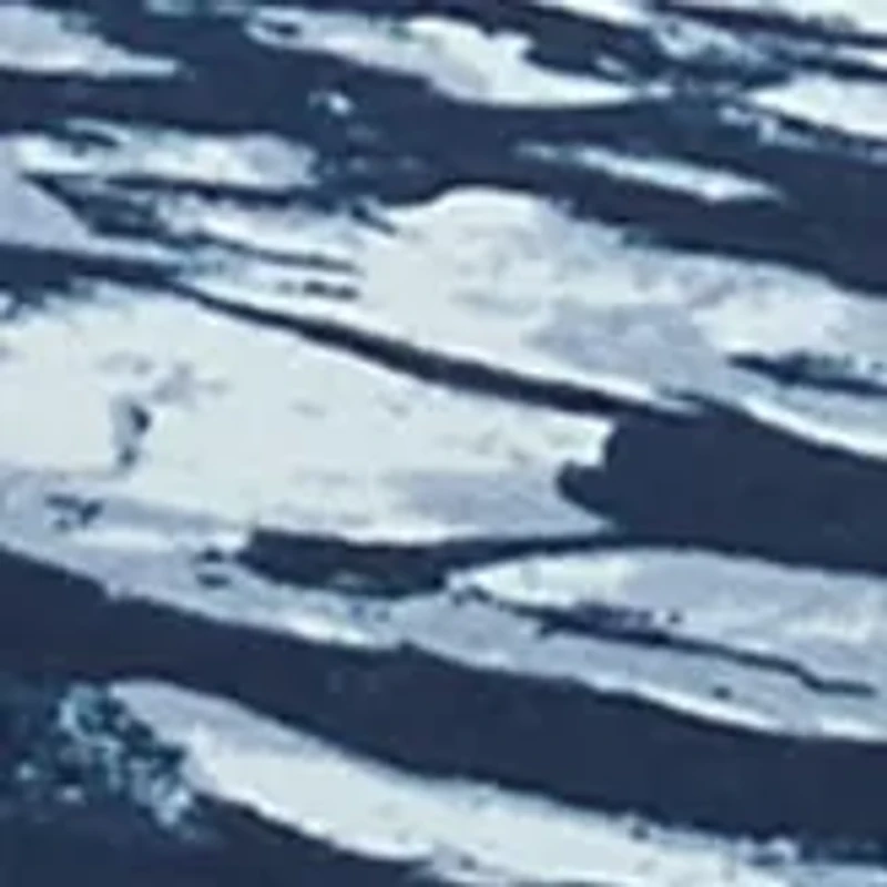 Plus Printed Tunic Sweatshirt