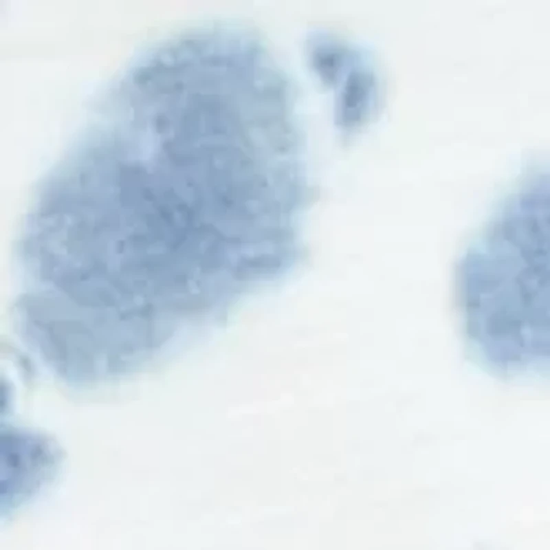 Plus Split Neck Ribbed Pullover