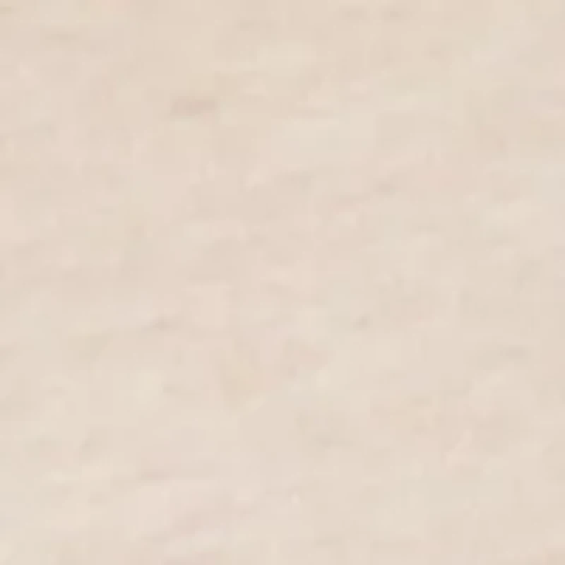 Surf Revival Fleece Shorts