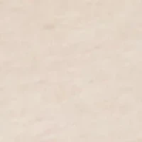 Surf Revival Fleece Shorts