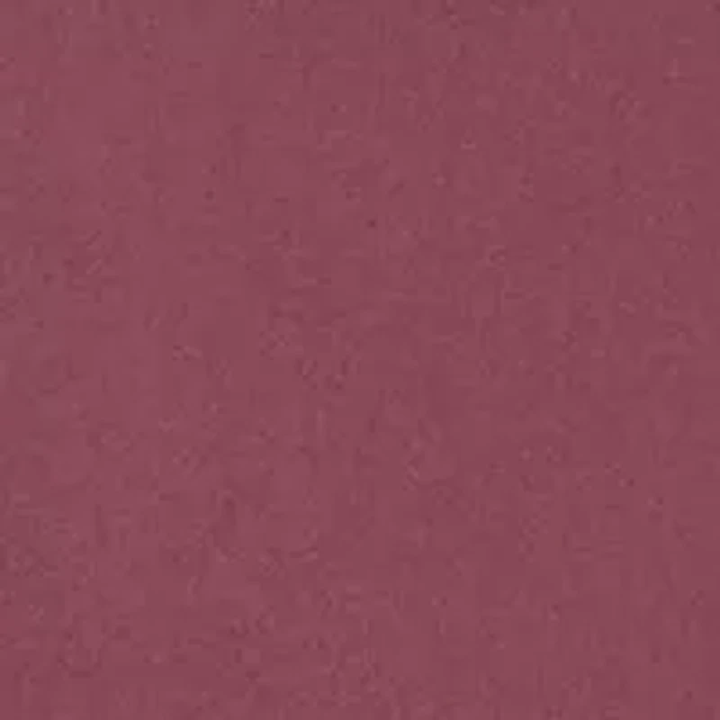 Plus Button Front Blouse