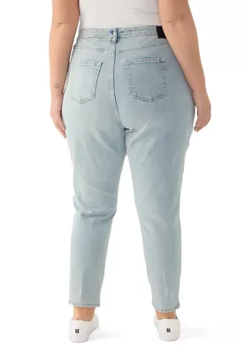 Plus High Rise Slim Straight Jeans