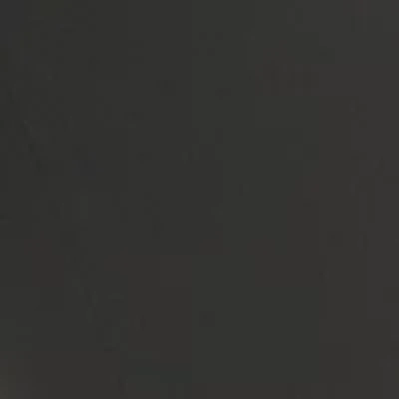 Women's High Rise Wide Leg Career Pants