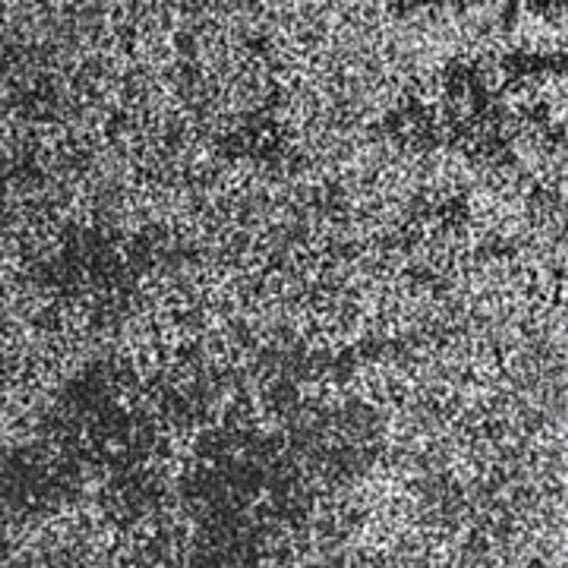 Women's Liquid Velvet Pants