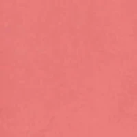 Women's Tencel Shirt