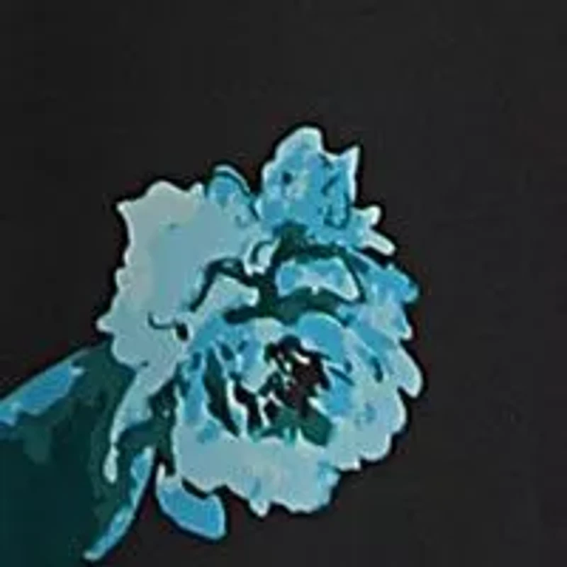 Materity Elena Maxi Dress