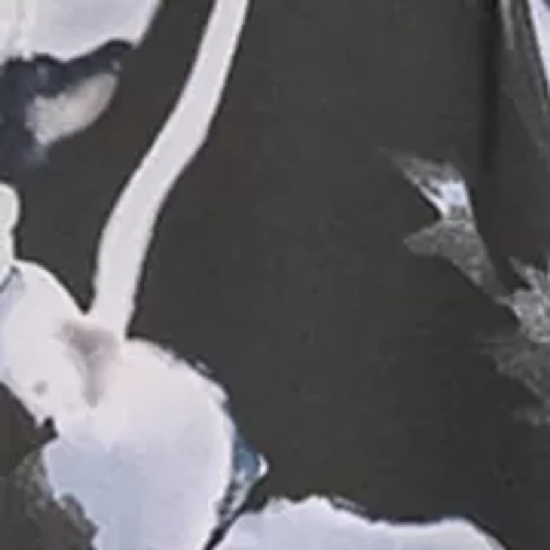 Women's Long Sleeve Printed Blouse with Buttons at Neck