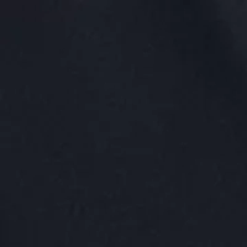 Women's Wide Leg Pleated Pants