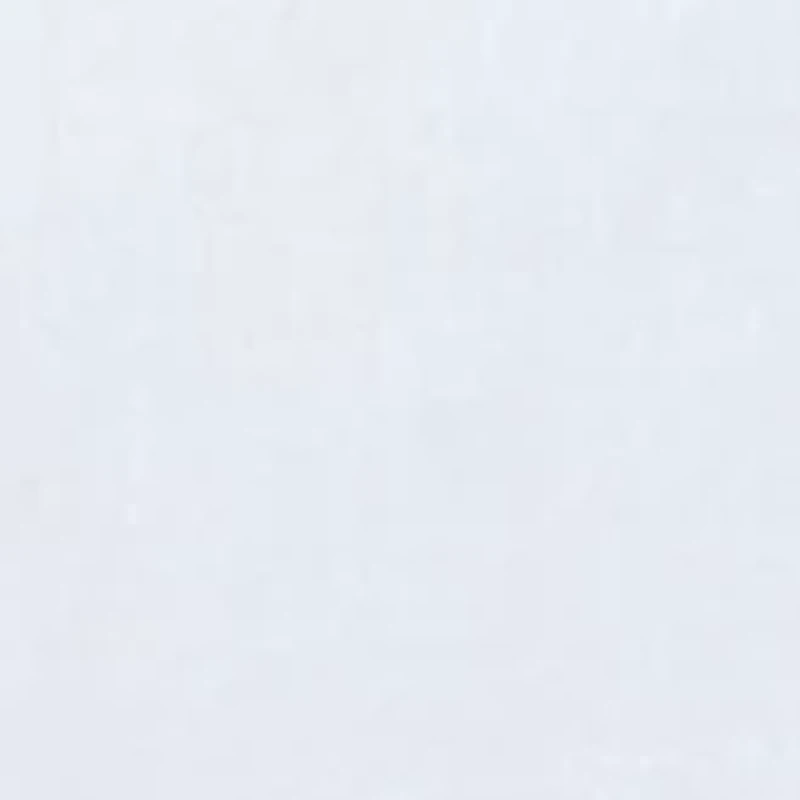 Women's Collared Button Front Shirt