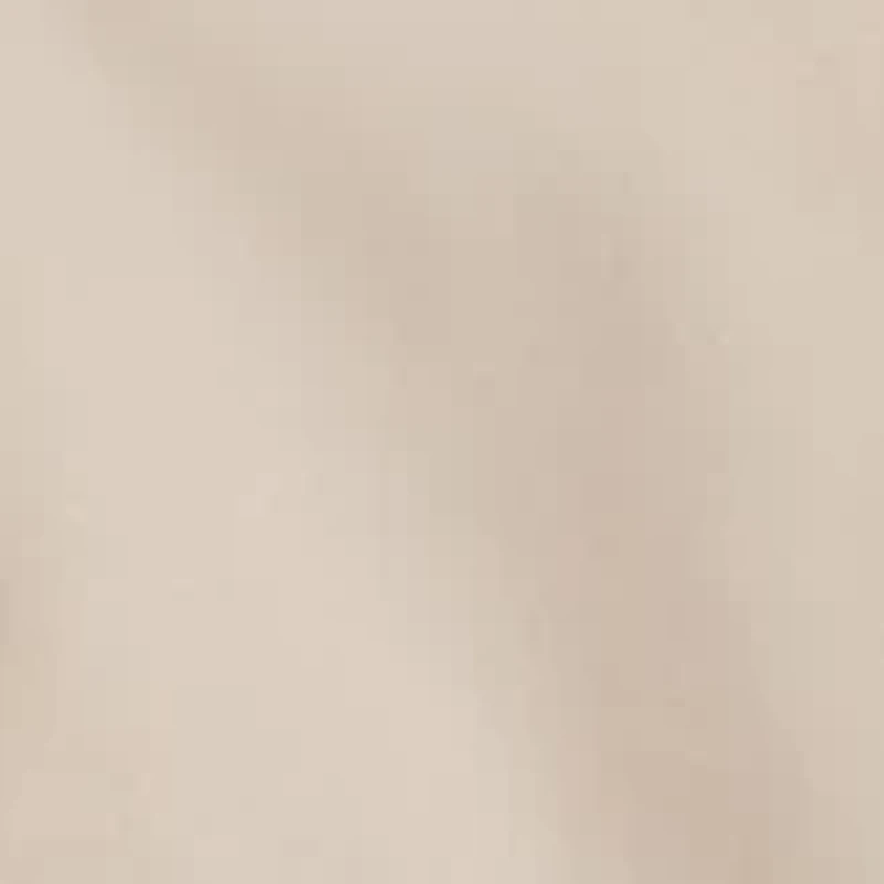 Women's Collared Button Front Shirt