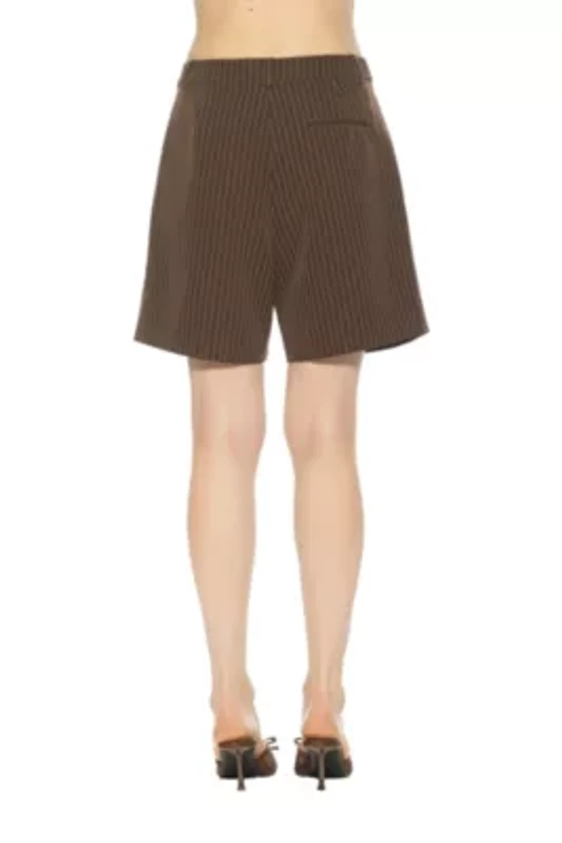 Dia Pleated Stripe Long Shorts